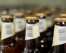 Inspeccion etiquetas tapones botellas cerveza